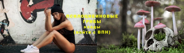 СК Верхний Тагил
