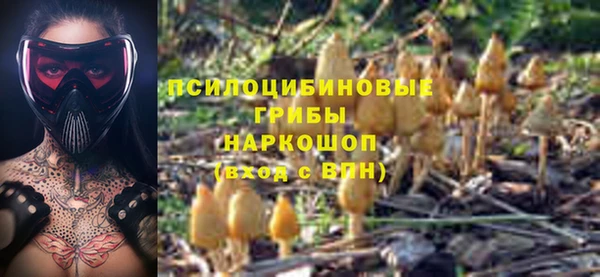 каннабис Верея