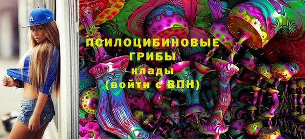 СК Верхний Тагил