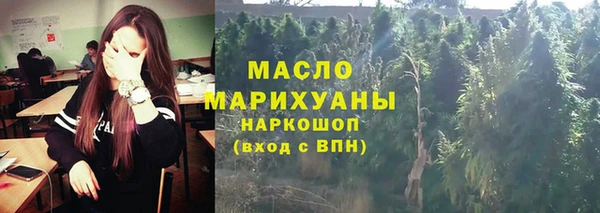 mdpv Бородино