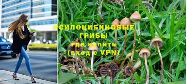 СК Верхний Тагил