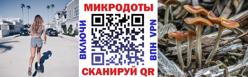 купить наркотики цена  Касли  Галлюциногенные грибы Psilocybine cubensis 